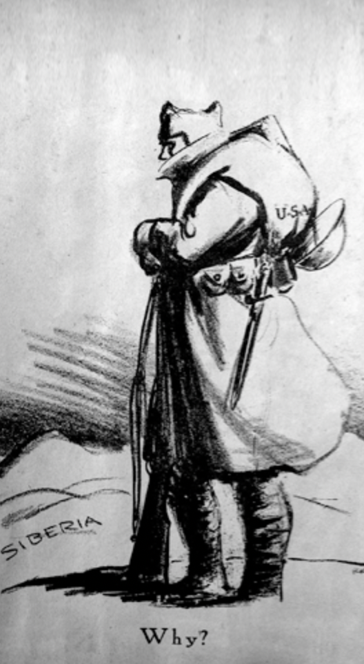 Image for The University of Michigan and the Great War